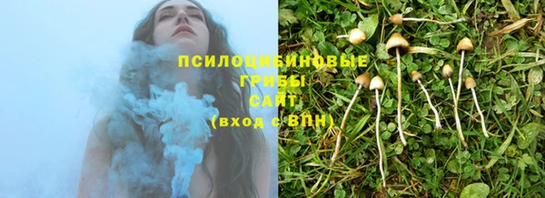 каннабис Алзамай